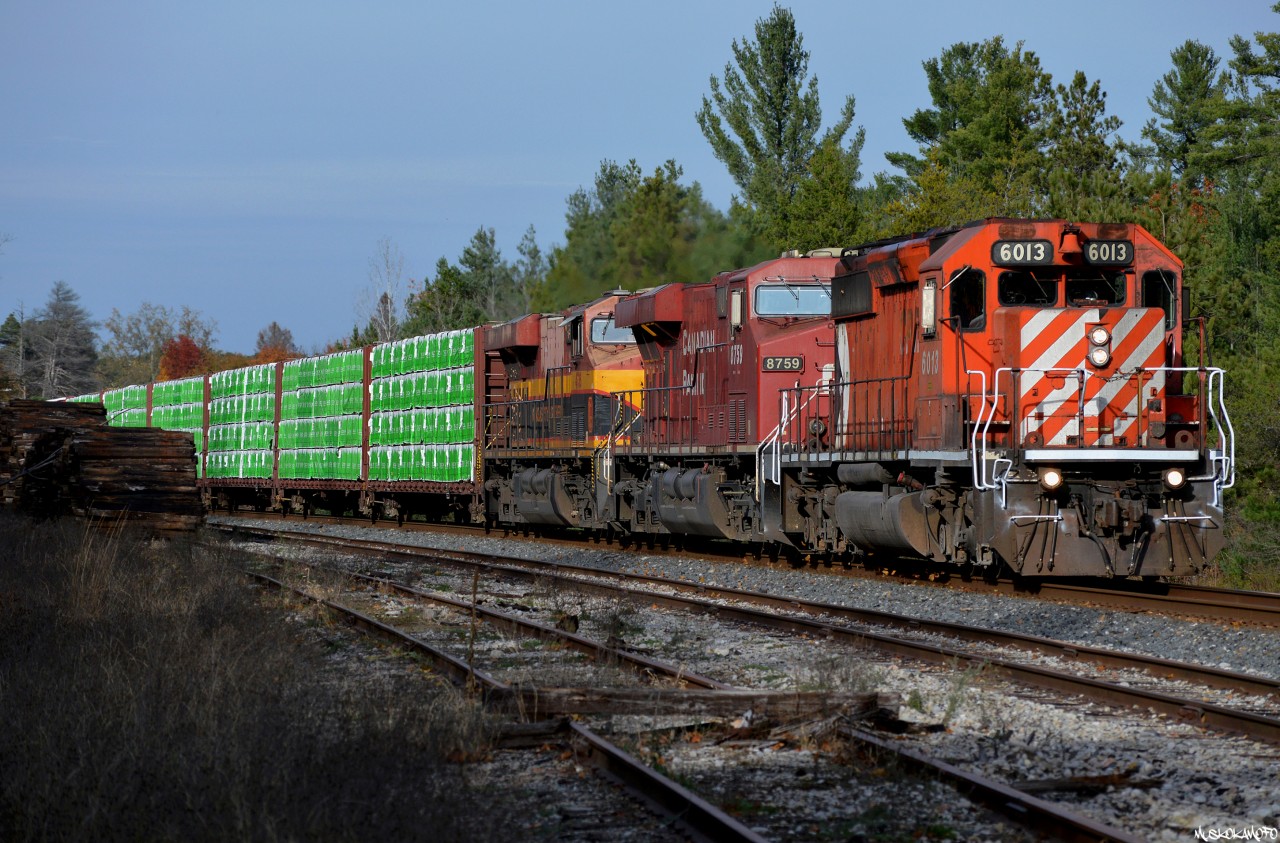 CP 6013 South kicks up a few leaves making a surprise appearance leading mainline revenue freight through Midhurst on Remembrance day. Original leader (8759 seen second up) impacted something hard enough to shatter the Conductor's windshield, this train limped into Chapleau where 6013 was the only power onhand and, luckily enough, wound up leading 420 the rest of the way into Toronto! Not bad for an engine that had an empty
fuel tank date on it and was once scrap bound, ironically enough, this engine would pop it's low governor oil button shortly after this photo was taken and after being topped up in Toronto has been running around with counterpart 6031 in the GTA area ever since.