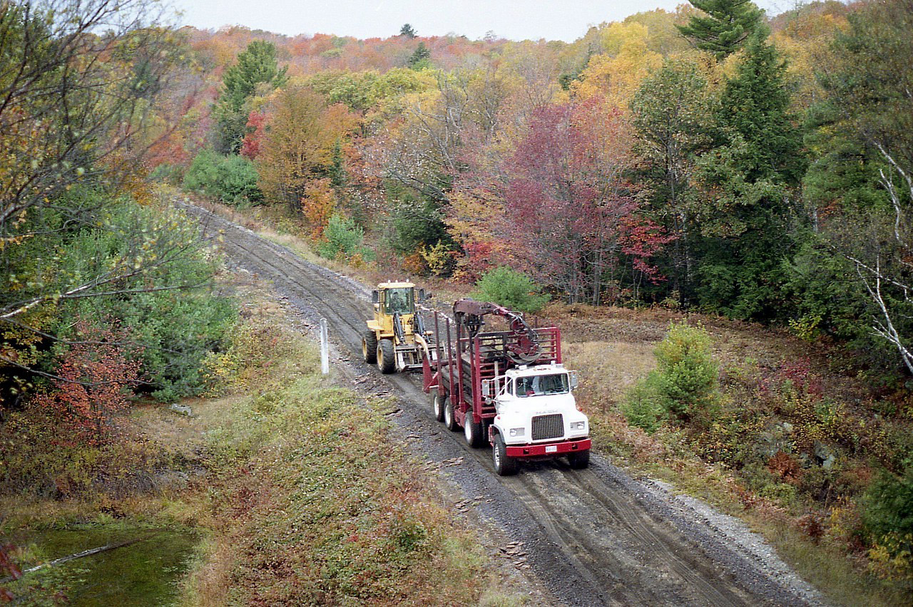 Not much of an 'artistic' photo at all, but rather a historical one. The view here is from the CP overhead bridge (CP Reynolds-CN Boyne) where the two transcontinental lines begin 'shared assets' northward. The truck, followed by front-end loader; is carrying ties .... this is the end of the old Ottawa, Arnprior and Parry Sound Railroad line which extended from Ottawa to Depot Harbour.
As the fastest route to ship grain arriving by boat from Fort William, Depot Harbour and the west end of the OA&PS was once part of the busiest line in Canada. In time, things changed; and the CN which owned the line after 1923 wound it down; and very little activity took place out of Depot Harbour area after 1952 and beginning 1987 the line was pulled up by 1989.
A lot has been written on the OA&PS and the sudden death of Depot Harbour. Well worth researching. The old track bed on Parry Island from the Swing Bridge to the harbour is now utilized as Old Rail Line Rd.  The swing bridge is featured in photo #33735 on this site.