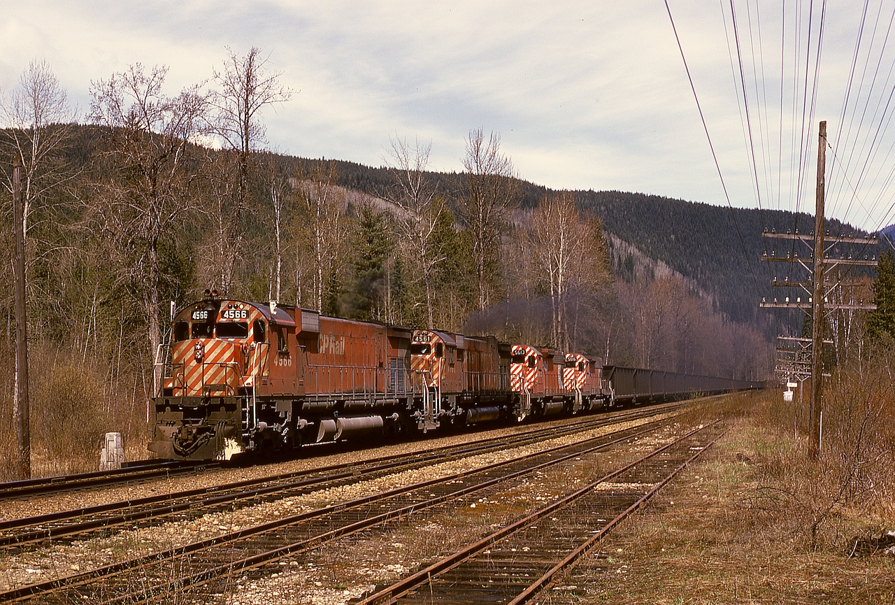 Providing a hint of the future, with two MLW M-630s (4566+4561) leading but two GMD SD40-2s (5613+5616) trailing them (and another two SD40-2s plus a Robot car, 5579+5644+1015, unseen mid-train), this westward train of coal is passing milepost 28 at Craigellachie (about 0.15 mile east of the cairn) at 1205 on Tuesday 1974-04-23.

Note the telegraph pole crossarm arrangement of two long plus one shorter plus one long, in my experience unique to the CP Shuswap sub., and first noticed years earlier as a bored kid while eastward by highway from Kamloops.