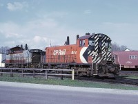I probably will need to be corrected with this one. For some strange reason I did not mark the location of this slide. But that church steeple in the background indicates to me it is Woodstock, Ontario. But the rest of the scene.......I dunno.
Nice combination; CP 8149 in the "new" paint and 8150 in the old.
The SW 8149 became #1248 in 1984; then to control cab #1154 in 2003.
The SW 8150 became #1270 in 1985; then retired 2012 and sold to NRE same year.