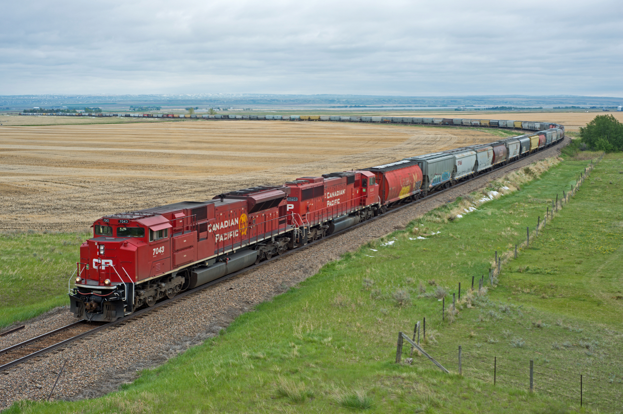 Two CP EMDs are down to a crawl as they drag a loaded grain train upgrade out of Seven Persons Alberta on the Taber Sub.  Behind 7043 and 6258 the entire 110 care train can be seen, along with UP 7619 pushing on the rear. Despite being the May long weekend and June being right around the corner, there is still a trace of snow on the ground.