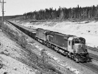 <br>
<br>
   Heavy Haul Haven
<br>
<br>
   Alco-philes Utopia
<br>
<br>
   Cartier Railway 81 and 74  on a southbound ore pellet train at Able, the first siding north of Port Cartier. 
<br>
<br>
   At Able, P.Q., June 7, 1981 Kodak negative by S.Danko
<br>
<br>
   notable:
<br>
<br>
   Cartier 81: a 1975 built MLW M-636, scrapped 2003
<br>
<br>
   Cartier 74: a 1973 built MLW M-636, sold in 2002 to Marine Diesel Engines
<br>
<br>
   Cartier Railway (now Arcelor Mittal Mines Canada) first generation  MLW's, Alco's, and GMD's out of service or sold by 2000 and or scrapped by 2011
<br>
<br>
   The six axle Alco's MLW's retired by 2002, some sold, some scrapped, several to WNYP (and since retired).
<br>
<br>
   Arcelor motive power is now nineteen GE AC4400CW, five SD70's, two SD90's and some leased GE's. ( credit  Trackside Guide)
<br>
<br>
   sdfourty