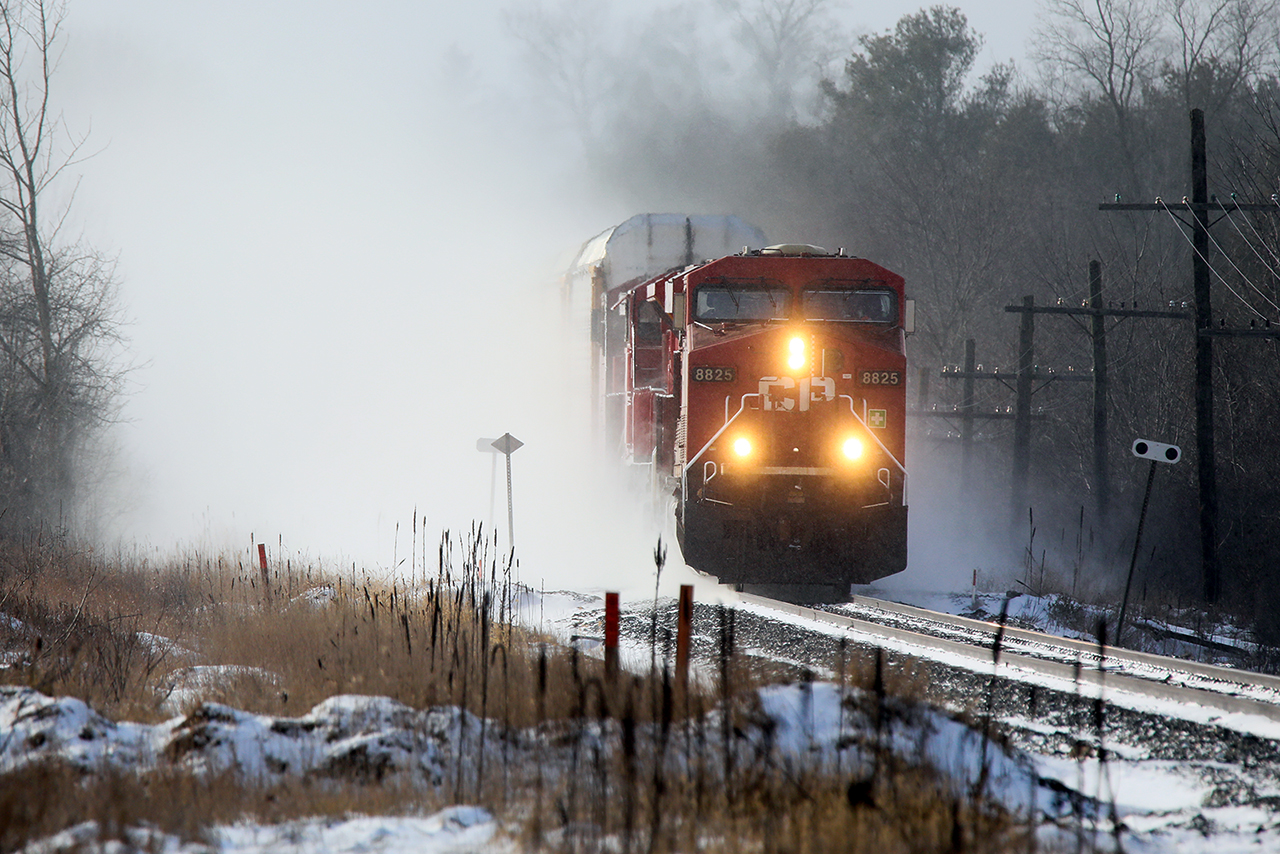 Ideally this would be going west instead of east in the early afternoon, but when CP provides one train a day in daylight on the Galt Sub, you take what you get. 

A very short 254 is flying, and creating it's own snowsquall as it sprints towards Guelph Junction, and a trip to at least Welland; perhaps Buffalo. Not much better than a train at speed with light snow lying around.
