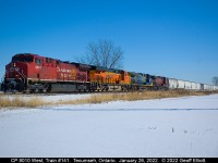 CP train #141 was a 'Skittles' special today with a rainbow of color.  CP 8010 leads train #141 with BNSF 6668, CSX 552, and CP 8641 in tow as it approaches Begin/End CTC Sign Walkerville on a frigid January 26th.  Further back in the train is CP 9806 as the mid-train DPU completing the 5 units that powered 141 across the Galt and Windsor subs.