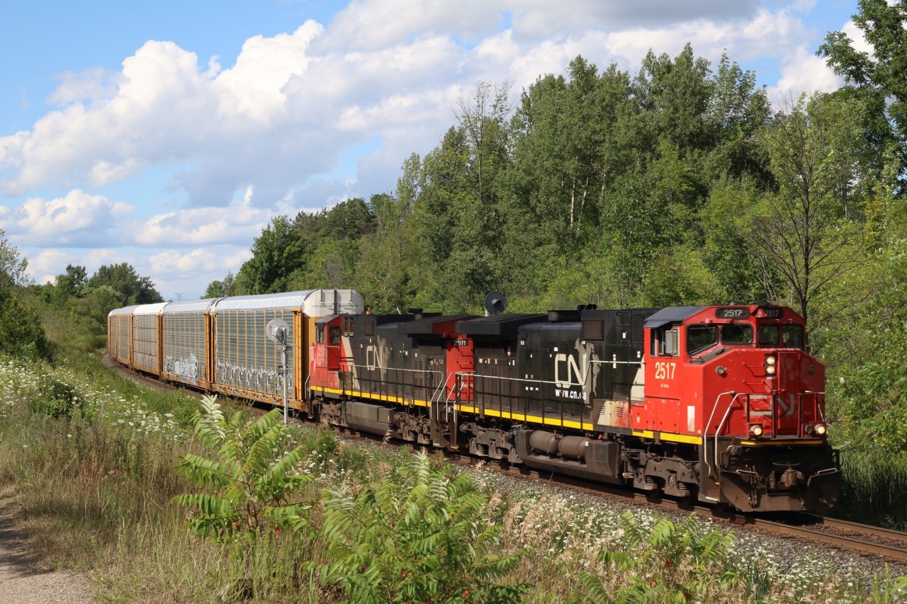 Back in the days before GE seemed to rule CN’s roster. CN original group of Dash-9’s was high on my list of units to catch in the lead. Today they still are. There is something about their unique cabs that made them likeable, not to mention them being the only Post Dash-8’s to carry the CN North America paint. Leader 2517 is also unique as it wears a modified version of this paint complete with the CN website. Here sisters 2517 and 2511 lead train 275 past the sweeping curve at mile 30.