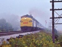 <br>
<br>
   through the Lake induced mist, at 80+ m.p.h., FP9A 6534 spits the mile 316 searchlight signals 
<br>
<br>
   VIA #62 RAPIDO approaching the Rouge River bridge, October 6, 1979 Kodachrome by S.Danko
<br>
<br>
   More Scarborough RAPIDO
  <br>
<br>
     <a href="http://www.railpictures.ca/?attachment_id=  2436 ">  CN 6514 </a>
<br>
<br>
     <a href="http://www.railpictures.ca/?attachment_id= 47404  ">  CN 6524  </a>
<br>
<br>
