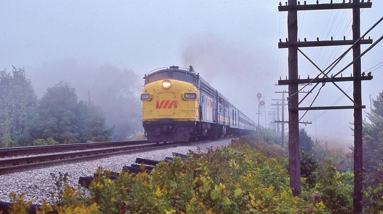 through the Lake induced mist, at 80+ m.p.h., FP9A 6534 spits the mile 316 searchlight signals 


   VIA #62 RAPIDO approaching the Rouge River bridge, October 6, 1979 Kodachrome by S.Danko


   More Scarborough RAPIDO
  

       CN 6514 


       CN 6524