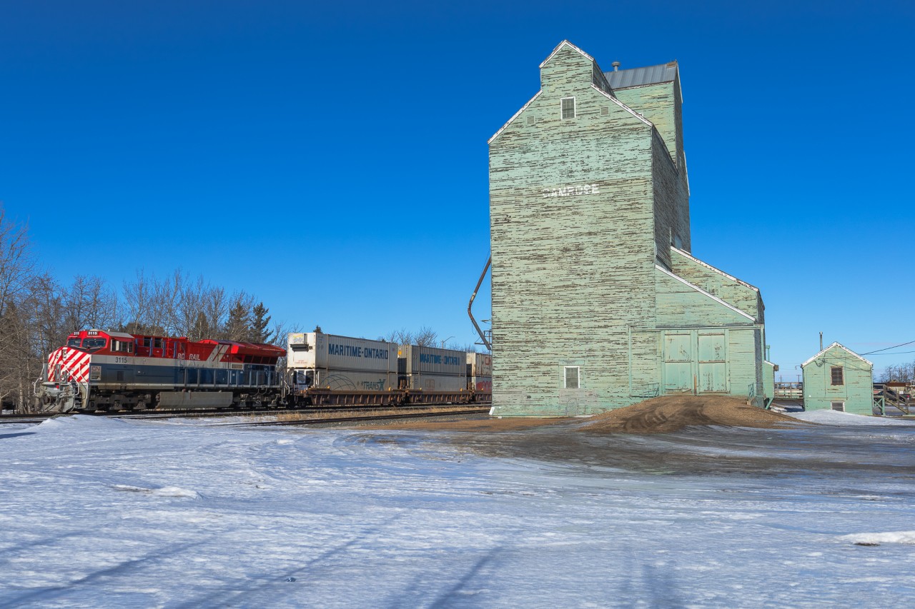 On a beautiful Spring like day, CN 3115 leads Toronto to Calgary hotshot Z 11531 05 past the elevator at Camrose