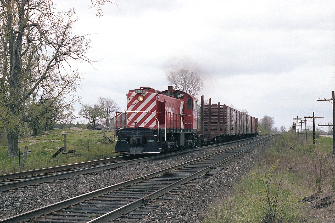 As a wayfrieght trundling along thru the countryside, this image has "yesteryear" draped all over it. It is something we just do not see any more. The view is on the Winchester Sub just to the west of Perth, Ontario, and the venerable old CP ALCO S-2 #7025 is on its last legs. Built in 1944, the unit was scrapped at Angus barely over a year after this photo was taken. The end came in early June of 1982.