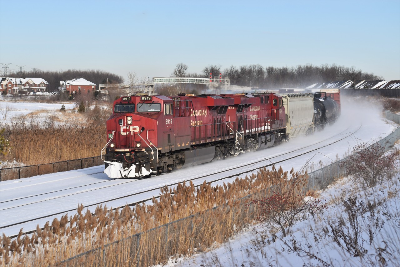 CP 241 highballs through Milton with 8919 on the Point