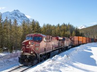 Shortly after leaving Field, 8899 is slowly moving towards Lake Louise with CP 101. Two more westbound trains are waiting just further up past here and will move out after 101 passes. I thought the sunlight reflecting off the snow onto the train gave this an interesting look.