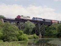 To me, this is a nice change from the CP red. SOO 768 and GATX 7371 hustle westbound over the Middle Thames River bridge.
This was a nice place to shoot so long as you could get to the waters' edge. Lot of bullrushes, swamp and muck as well as foliage to contend with. The SOO SD40-2 along with its' sisters were gone from the CP by 2012.