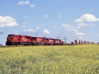One of the goals on my 2003 trip was to get at least one train passing a canola field. As luck would have it I managed to do that on both CP and CN.  Here CP 107 with a SD90 in the lead heads westbound at Milaty.