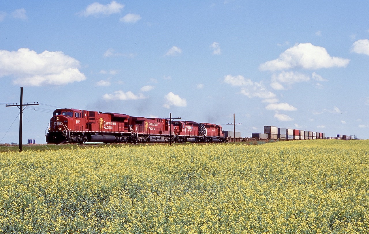 One of the goals on my 2003 trip was to get at least one train passing a canola field. As luck would have it I managed to do that on both CP and CN.  Here CP 107 with a SD90 in the lead heads westbound at Milaty.
