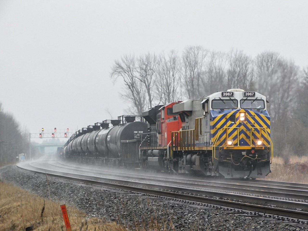 M372 takes it nice and slow on the 3rd track with a ex Citi rail taking the lead. The fog makes for an interesting look as this was not an early morning photo.