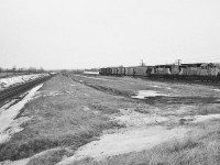<br>
<br>
   Compare to today...the starkness of the railway right of way landscape really astounds me 
<br>
<br>
   and at the time, this type of landscape along the R of W was the norm...
<br>
<br>
   A pair of SD40's easily handle the eastbound CP Rail Coburg Turn.
<br>
<br>
   At left, that is mile 284 CN Kingston Subdivision 
<br>
<br>
  At CP Rail Lovekin, March 5, 1978 Tri X negative by S.Danko
<br>
<br>
   Interesting: the Multimarks, the Cotton Belt hopper, the CPR script lettered caboose....
<br>
<br>
