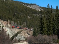CN 2284 leads a westbound around the tunnel at Geikie on the south track of CN's Albreda Sub, just west of Jasper. 