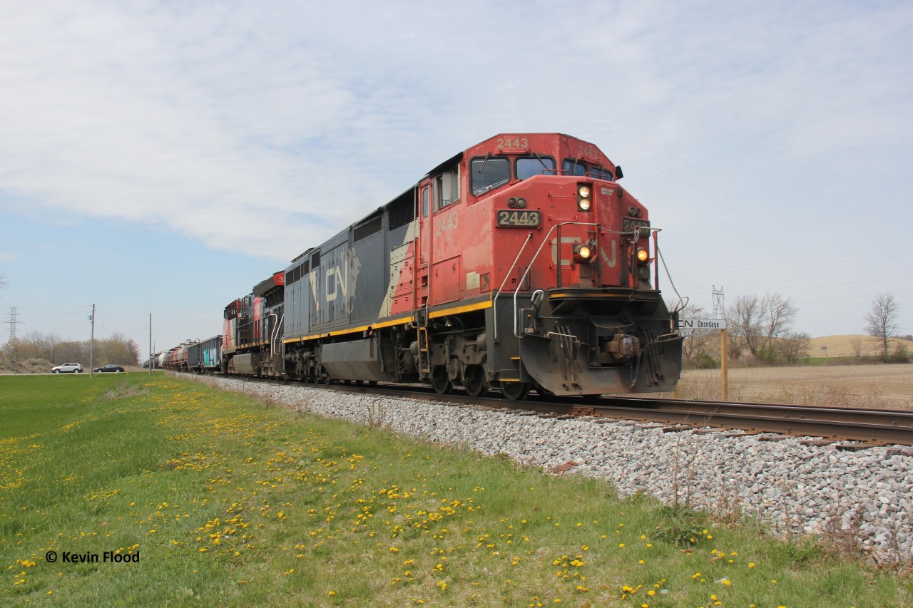 CN 502 is pictured trundling along the Hagersville Sub at station sign Onondaga on a lovely spring afternoon. Power was CN 2443 and CN 3234 - a combination reflecting new and old CN paint schemes. Supposedly, 2443 suffered from a fire shortly after the date of this photo.