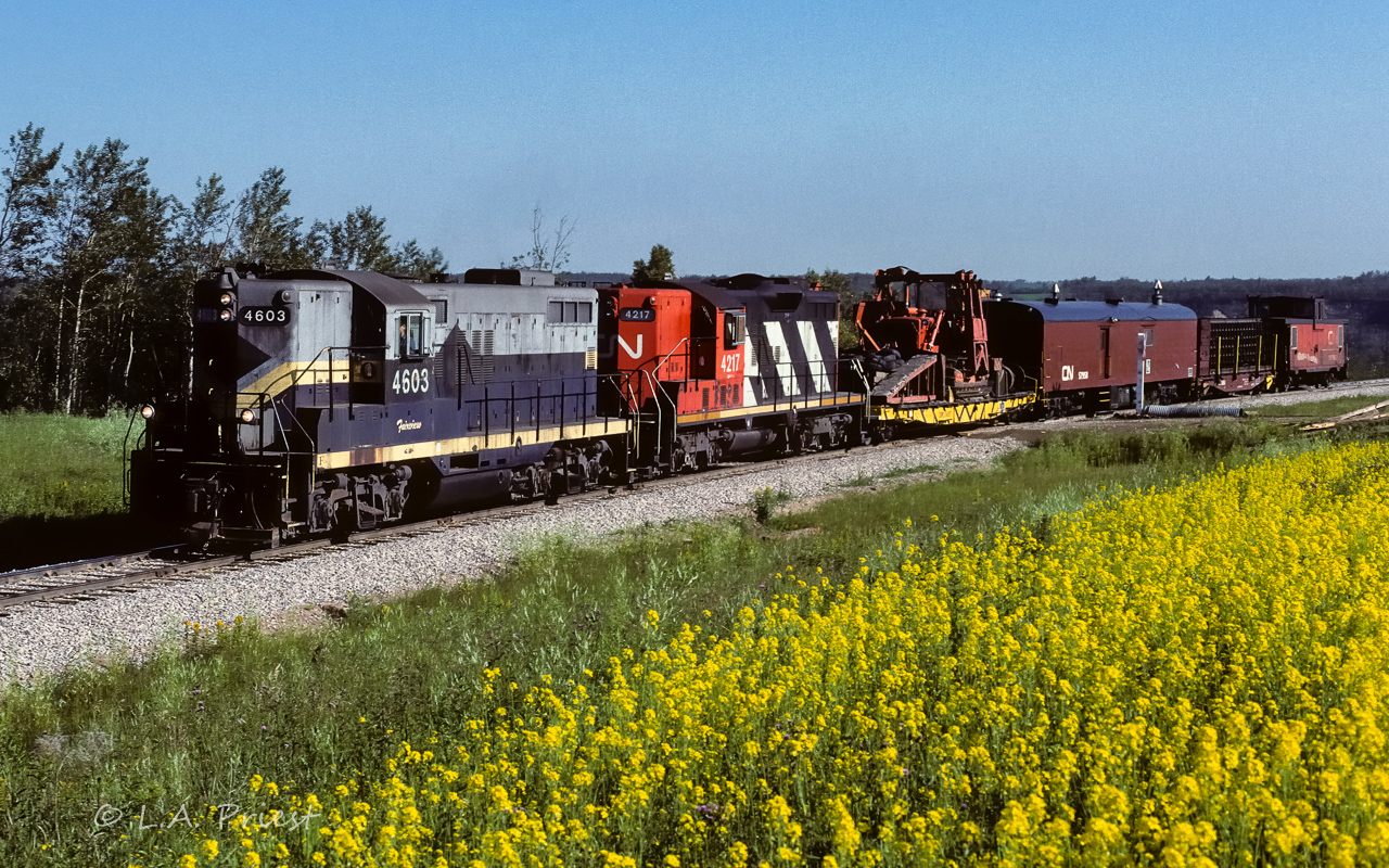 A few days earlier on Sunday afternoon, (July 17th) at 14:00, this extra auxiliary train passed through Redwater as it headed up north. The day of this photo, (July 21st) Thursday at 9:15, it is coming home and the 4603 just passed through Gibbons a couple of miles back. They are on the last big curve that then straightens and goes due south 12.5 miles to connect with the Vegreville Sub at St. Paul Jct. A caboose (they had 2 when heading out) and coach 54957 were left up north and did not return until several days later. The dark countryside behind the caboose is the Sturgeon valley and they are climbing the last bit of grade up from it.