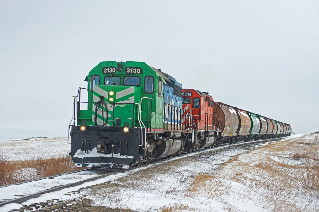 Spring is in the air.... or not.  Mobil Grain's Last Mountain Railway makes it's way north along the former CN Craik Sub with 12 grain loads from Condie.