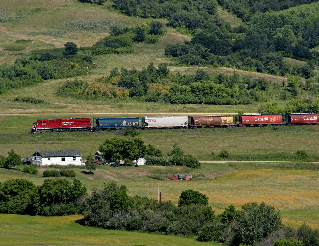 Westbound grain empties pass a farmyard in the Assiniboine River bottomlands on CP's North main. On both sides of the Assiniboine lies 1.8% grades both ways. Also 1.5 % grades each way between Birtle and Solsgith and 2% each way out of the terminal of Minnedosa gave this line the name "Manitoba's mountain railway.