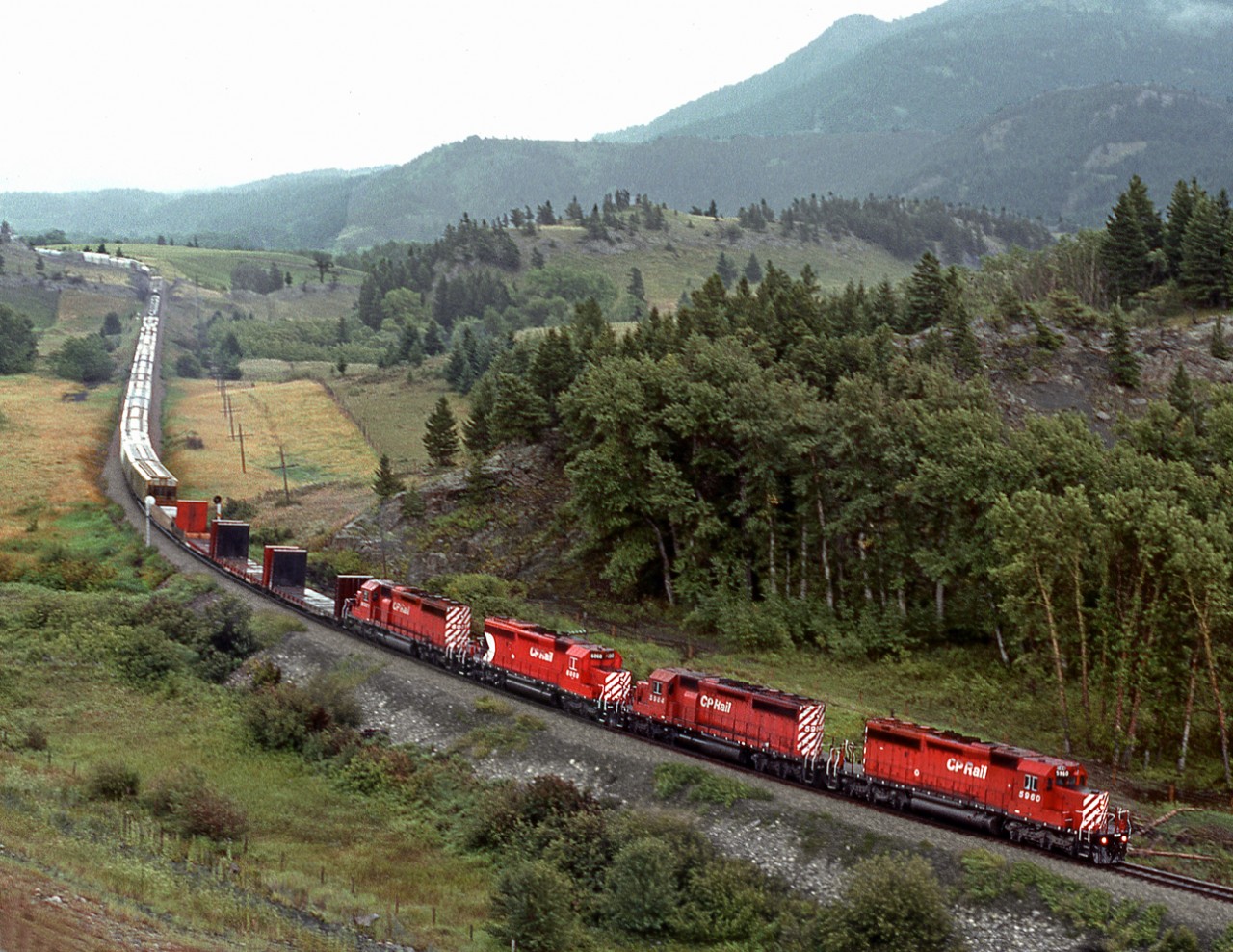 Westbound train 979 bound for the UP interchange at Kingsgate B.C. starts the climb to the summit of Crowsnest Pass.