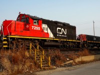 It's 07:30 at Mac Yard on September 1, 2015, and while waiting for the Engineering guys to arrive for a day of training on their the new Knox Kershaw KYC550 Yard Cleaner http://www.railpictures.ca/?attachment_id=20733, I was able to walk over from the Work Equipment shop to Green Tower/West Control and snap CN 7255 basking in the warm morning sun while the crew was in the tower picking up instructions on the next cut of cars to be shuffled.
CN 7255 is ex-CN 4217 which can be seen in this July 1988 Seth B. photo http://www.railpictures.ca/?attachment_id=48491
My thanks to Seth B. for his time, effort, and handy work in cleaning up, straightening, and otherwise correcting my photo of CN 7255 to make it presentable.