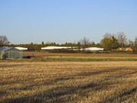 CN X319 cruises into the setting sun at Stewarttown headed for the BNSF at Chicago.