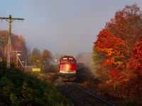 Early morning light, vibrant autumn colours and a layer of fog set the atmosphere at Northland, Ont., as Canadian National's Agawa Canyon Tour Train races towards "Canyon" on the former Algoma Central Railway.

Earlier this week, Watco announced that tickets have gone on sale for the upcoming season. The Tour Train is slated to resume operations on August 1st and will run until October 10th. Get your tickets for peak colour while you can because I'll suspect they'll go fast!