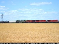 CP 8156 East, Train #130-26, rolls casually by as Winter Wheat ripens in the fields of Essex County.  8156 has 3 more units it tow, 7032, 9362, and Military Tribute unit #7020 bringing up the rear of the 4 unit consist.