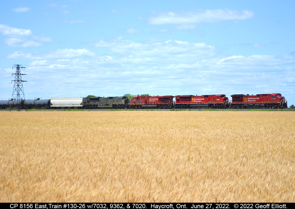 CP 8156 East, Train #130-26, rolls casually by as Winter Wheat ripens in the fields of Essex County.  8156 has 3 more units it tow, 7032, 9362, and Military Tribute unit #7020 bringing up the rear of the 4 unit consist.