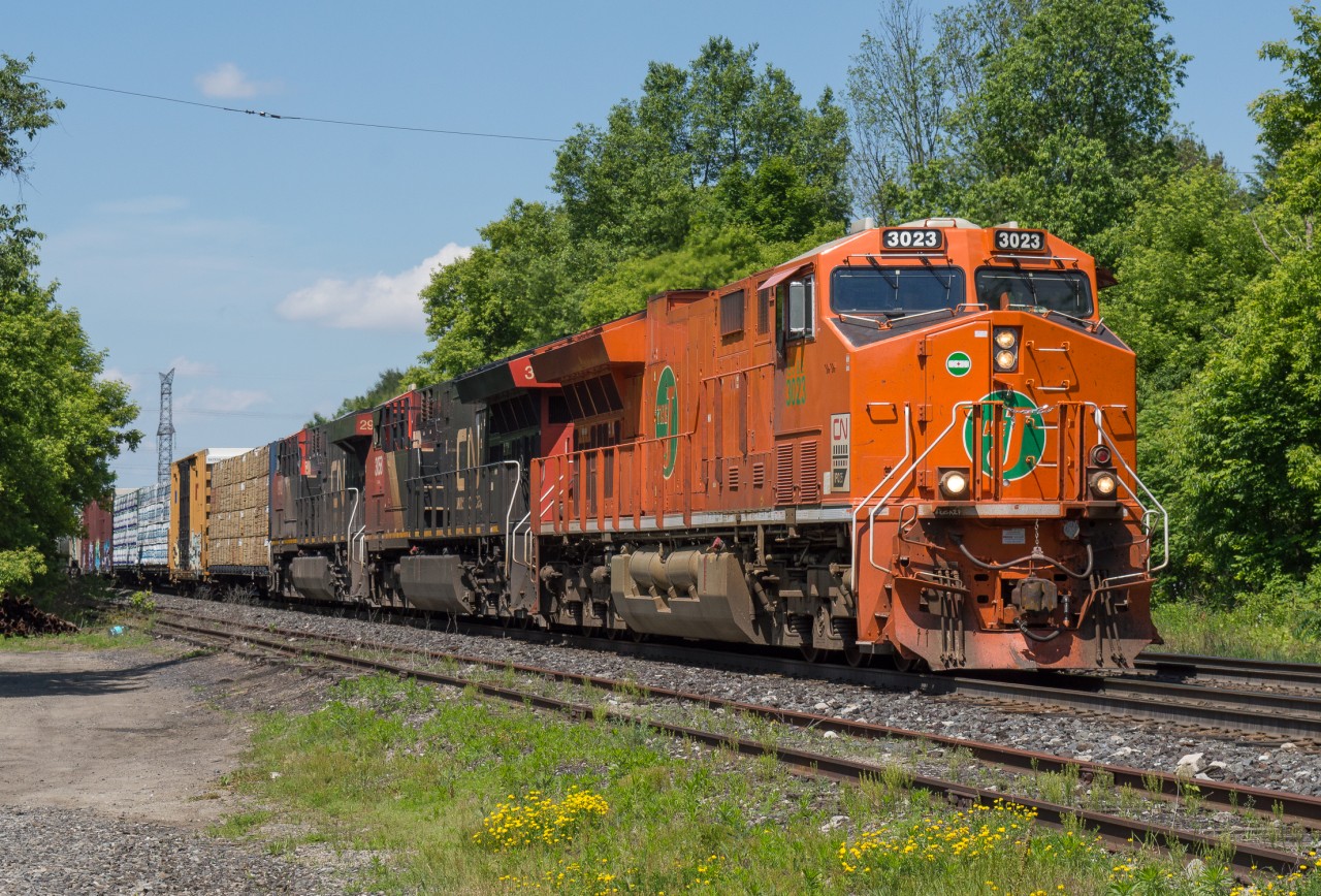 CN 302 makes its way through Copetown with the EJE Heritage unit leading.