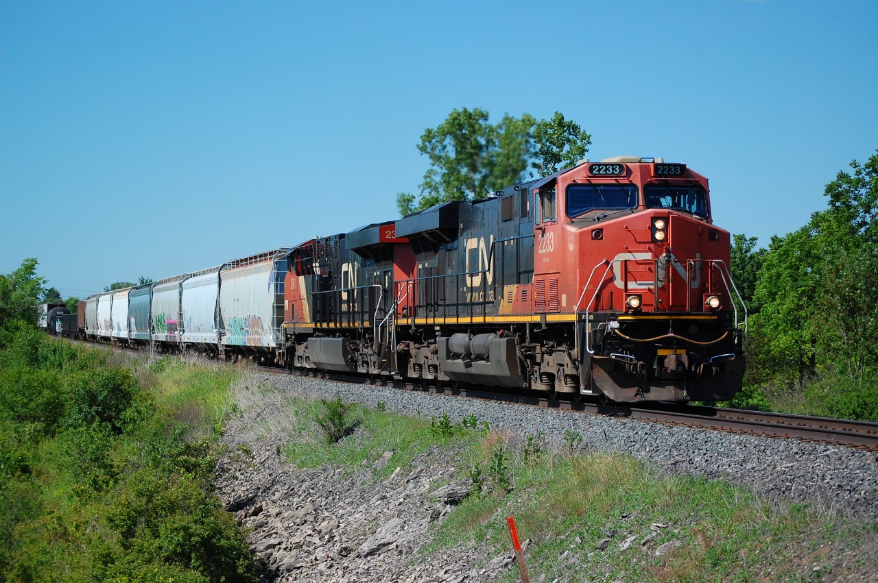 On a sunny afternoon as CN 531 eastbound to Fort Erie to do work before heading across the bridge for Buffalo.
