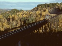 North of Quesnel, the British Columbia Railway crossed Ahbau Creek on a 920‘ long steel bridge at mileage 406.3, about a 0.8 mile walk in north from the highway 97 overpass at the north end of Greening.  Passenger train No. 2 with lone RDC-3 BC-33, running right on time at 0859 PDT (scheduled at Greening at 0901) on Thursday 1978-10-05, casts its shadow on the nearby trees.