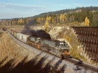 At Australian Creek at mileage 364.3 and between Kersley and Alexandria, the British Columbia Railway bypassed their maintenance-intensive timber trestle with a fill and a culvert, creating a notable dip in the track profile.  Train number 34 from Prince George on Thursday 1978-10-05 had all-MLW/ALCo power, 703+804 on the headend and remotes 730+702+RCC1, and is seen here notching-out at the bottom of the dip at 1631 PDT.