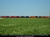 Today's Windsor Sub catch.  CP Train #131 with CP 8707, 7003, NS 1209, BNSF 3786 and BNSF 4734 hit the Golfview Drive crossing just west of St. Joachim, Ontario.  5 units and 5 different paint schemes.  Sometimes it's actually worth shooting something on the Windsor sub.  :-)