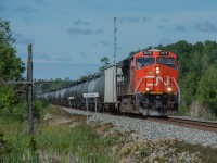A CN unit leads CP 528 with ethanol loads to Albany passing CP Rosedale on the Winchester subdivision.