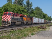 CN 3115 and BNSF 3993 lead CN 397 through Copetown.