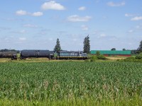 Nearing the end of the line at Tilsonburg, GIO Rail's GP9 1597 trundles along the Cayuga Sub with two tank cars in tow for Future Transfer.