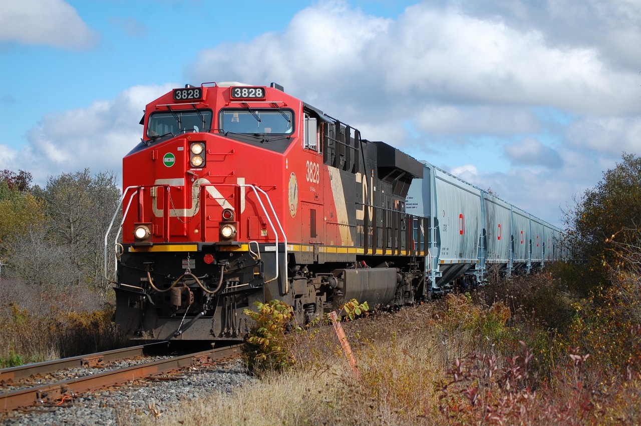 CN 875 unit train originated at Fort Erie, ON all brand new Grain cars for CN.
