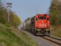 On a warm spring afternoon, 540 is near Guelph Sub track speed on its return trip back to their home terminal of Kitchener. 7521 is in charge on this leg of the run, and is one of many former hump yard service units that have kicked their legs out onto the road over the past year and a half. With the GMD-1s sold off or retired, and a handful of GP9RM's being retired as well by the months, CN has resorted to these 7500 series units to take their place, along with the purchase of 20 or so ex GMTX GP38-2s. Many of CNs ex Oakway SD60s, and SD40-2Ws have been given R/C capabilities and are taking on yard service roles at various terminals to substitute for these hitting the open road, although a number of SD40-2Ws have had R/C capability for some time now. Nonetheless, something different for anyone in areas where 4 axle power is utilized. 