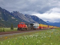 Approaching Henry House AB, CN 3177 (with mid-train dpu 2910) heads up this eastbound container train at mile 226 on the CN's Edson Sub.