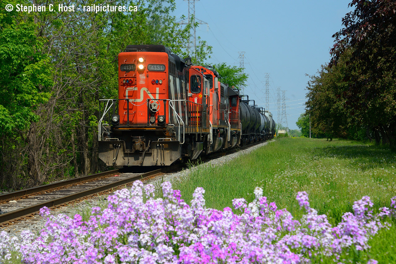 CN L540 is just arriving at the Guelph Junction Railway with a cut of cars on a beautiful spring morning. Is 4131 one of the GP9's still set up for Long Hood Forward?