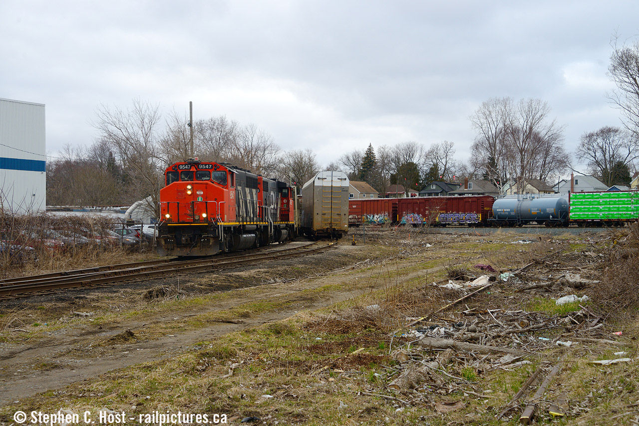 For young Jacob - from Arnold's recent post showing the CPR/CNR interchange at Woodstock -  there aren't many small interchanges left, as they are slowly being removed. Places like Chatham, Woodstock, Finnegan (Fergus spur), Fergus proper, essentially anywhere where two railway lines crossed there was often an interchange where the nearest customers traffic would be interchanged to their carrier of the shipper's choice. There were and continue to be rules on interchange, but most of the little ones are now gone. Most interchange in South Western Ontario between CNR and CPR occur in three places: Toronto (549), Hamilton (believe it or not, there's a lot here!) and Kitchener. London is another interchange, and it's pictured above. I don't know where those autoracks are going but the interchange in London is good for only about 15 cars (two strings of 8 each) and it's serviced by a  London yard job, by my estimation, in the afternoons meaning getting sun here is very difficult at this angle. Hope you don't mind the cloudy cruddy day. A recent brush cutting really opens it up - at right is some of the CPR track that used to service customers parallel to the Kellogg spur. BTW the Kellogg spur has no online customers anymore, just the interchange and the wye.