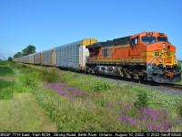 BNSF 7714 is solely in control of CP Train #234 as it slowly approaches Strong Road, just east of Belle River, Ontario on August 10, 2022.  Not as pretty as many of the BNSF's that have rolled by recently, with 7714 having it's California 'tagging' on the long hood, but still in the older H2 scheme.  BNSF 7714 East had just met train #131 at Belle River and is still pulling it's 70 empty racks out of the siding, but soon it will be on the high iron and start to accelerate up to track speed.