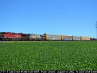 CP #8113 leads CN #3967, an ex-Citirail (CREX) ES44AC, on CP train #131 through Puce, Ontario on August 12, 2022.