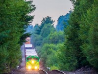 The ups and downs of the McAdam sub are evident in this photo. A late New Brunswick Southern Railway train 908 is seen here about to start it's small uphill trek to my location, the middle of nowhere at Rooth, New Brunswick. NBSR 6401, a refurbished SD70M-2 acquired last year is on the point, just after sunrise. 