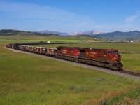 CP 8602 east has conquered Crowsnest Pass and heads east towards Lethbridge with train 318.