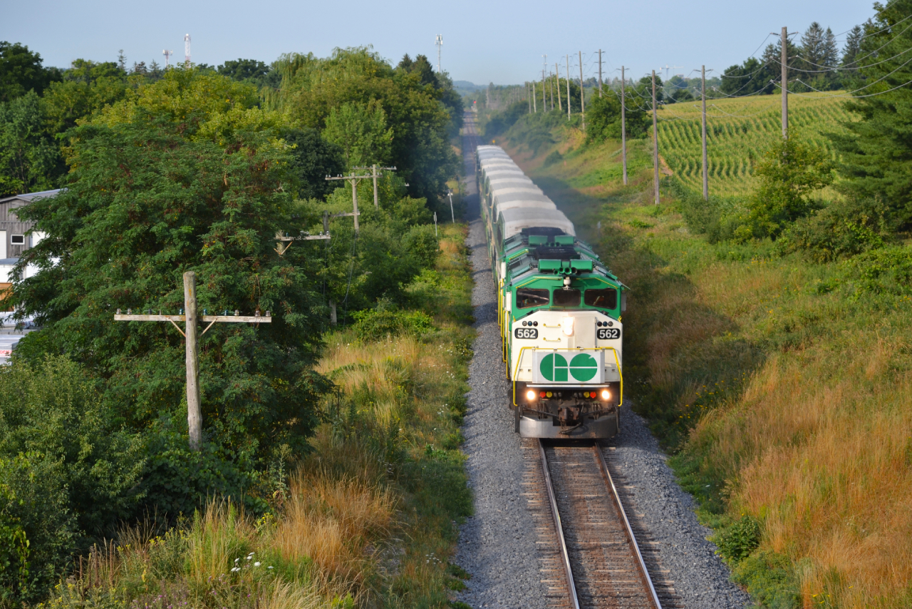 An early start today took me to Guelph to get the 05:15 London GO train. The Guelph Sub is a stretch of track I have neglected to photograph over the years. Considering the few trains that do traverse it and the distance from Waterdown, its not exactly worth it. Another thing I have been neglecting is the F59's, just like VIA's F40's as a teen, every time they came into frame, I would turn my back on them ( and I paid the price with almost no photos. ) Not this time! With this set and the Niagara Falls set recently having them and usually getting good light for most of the runs, makes it fairly predictable. Shamefully, MX has installed dreaded chain link fences along a fair stretch of ROW between Georgetown, Guelph and Kitchener. It really is a shame, several once good spots have been ruined by miles of chain link fence through open country side. I am not exactly sure what the job of them is, to stop a potential wandering cow or horse from trespassing perhaps.