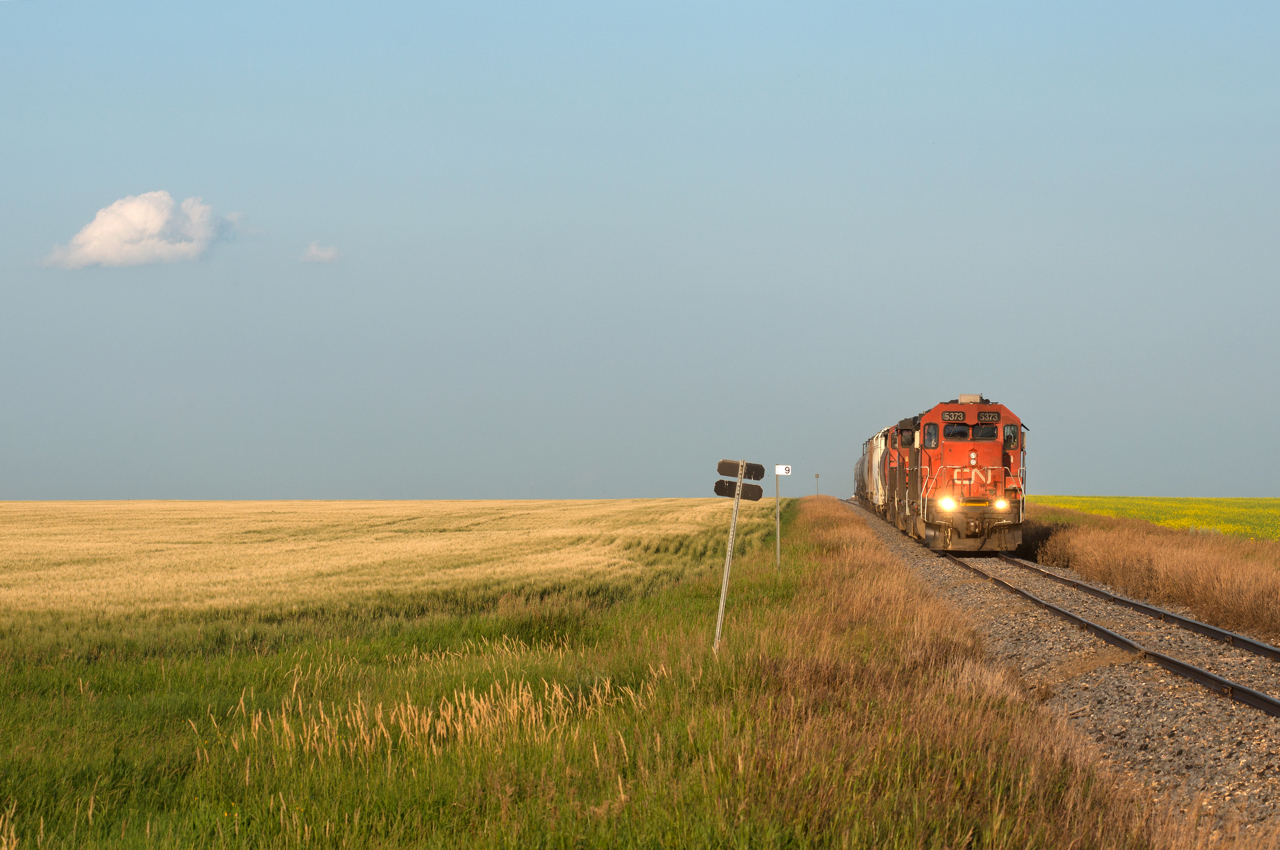 CN 5373 leads train 556 westward on the Central Butte Sub on a perfect summer evening.  Just behind me is a small back track and one house on a piece of land that used to be known as Adams.  Now a part of nearby township of Pense, one needs to dig up an old CN timetable to find the name Adams.